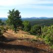 View of Mariposa County