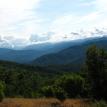 View of the Outback